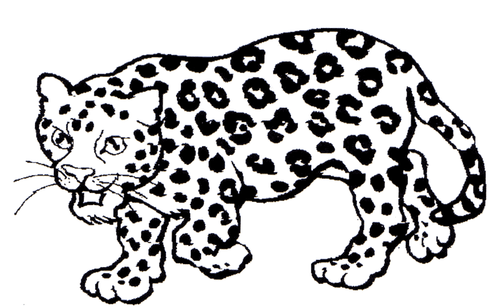 Jaguar Planse de colorat si educative
