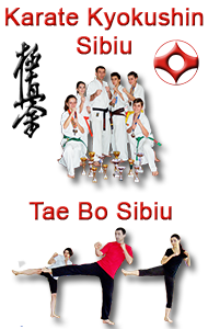 Karate kyokushin taebo sibiu