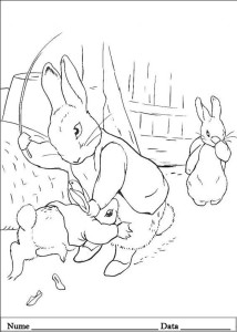 Peter Rabbit De Colorat PETER RABBIT (19) - Planse de colorat si educative