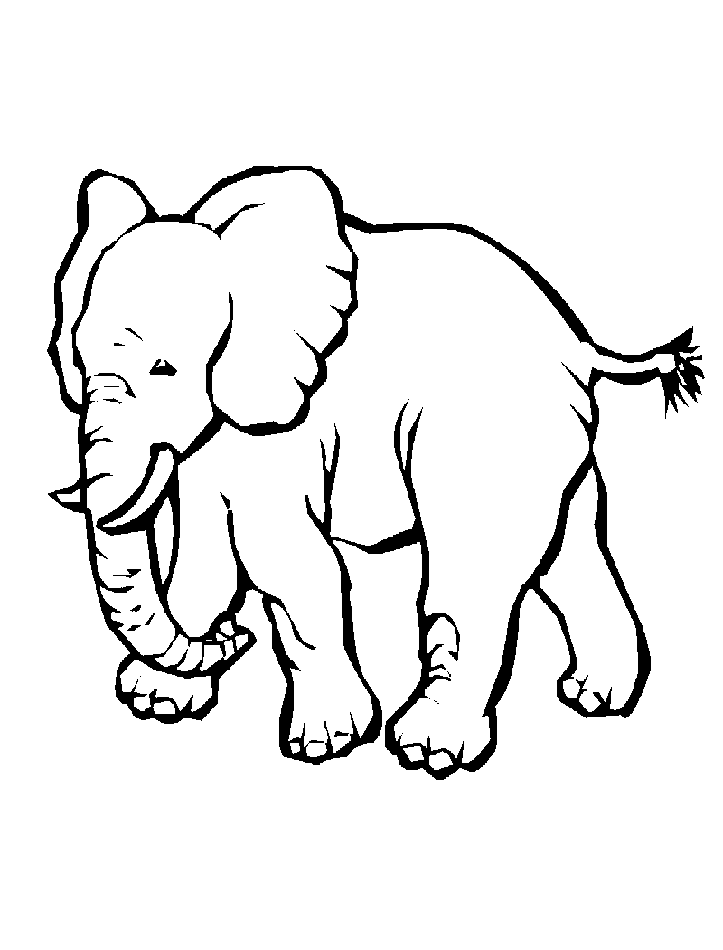 Planse Desene De Colorat Elefant 6 Planse De Colorat Si Educative