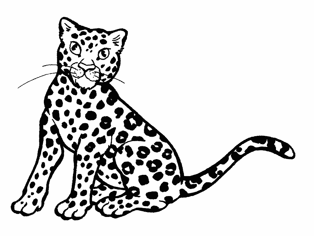 Leopard Planse de colorat si educative